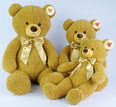 Bear Toys