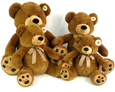 Bear Toys